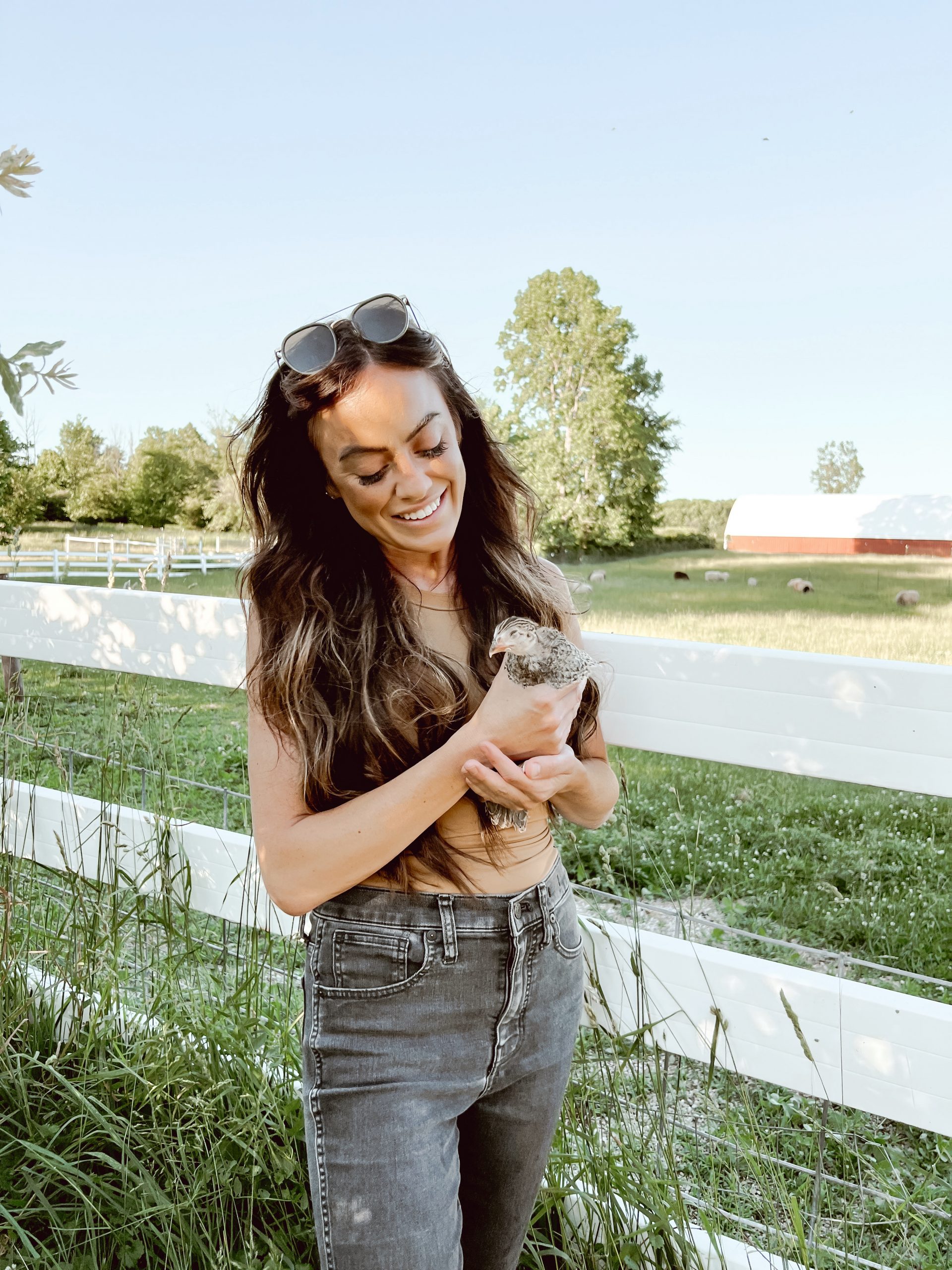 Favorite Things Friday: Chickens, Cozy Bedrooms, & An AC Unit